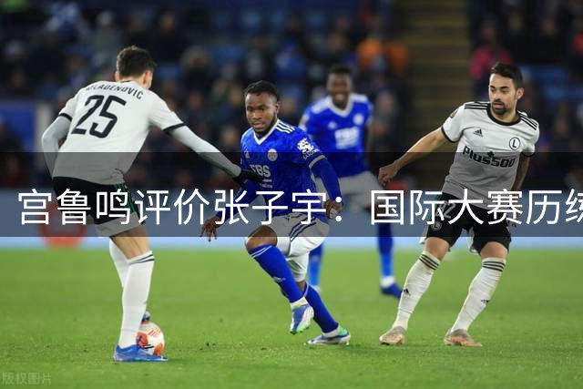 宫鲁鸣评价张子宇：国际大赛历练助其成长